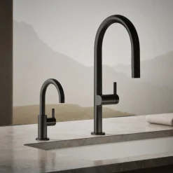 Beverage faucet