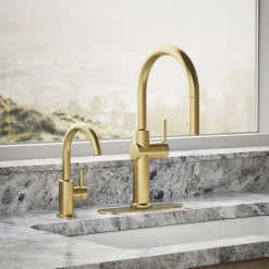 Beverage faucet