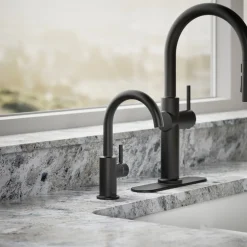 Beverage faucet