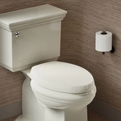 Deodorizing elongated toilet seat
