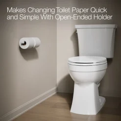 Double toilet paper holder