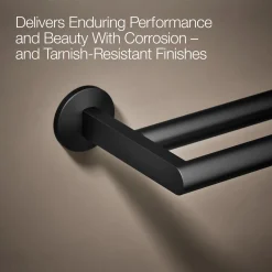 Double towel bar