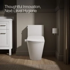 D-shaped manual bidet toilet seat
