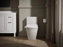 D-shaped manual bidet toilet seat
