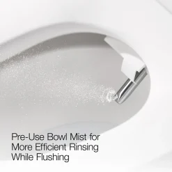 Dual-Wand Elongated bidet toilet seat with remote control
