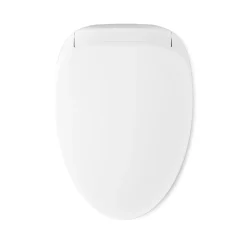 Dual-Wand Elongated bidet toilet seat with remote control