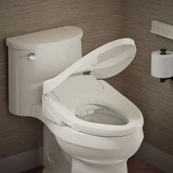 Dual-Wand Elongated bidet toilet seat with remote control