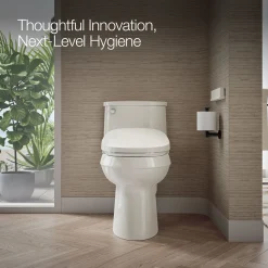 Dual-Wand Elongated bidet toilet seat with remote control