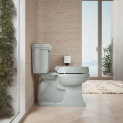 Elevated Quiet-Close™ elongated toilet seat