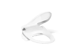Elongated bidet toilet seat
