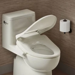 Elongated bidet toilet seat