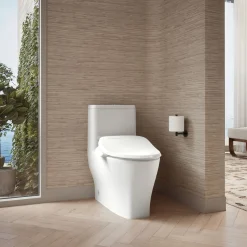 Elongated bidet toilet seat
