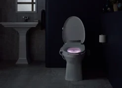 Elongated bidet toilet seat