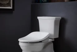 Elongated bidet toilet seat