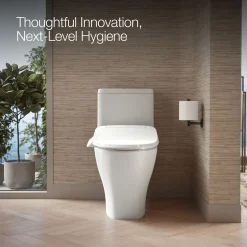 Elongated bidet toilet seat