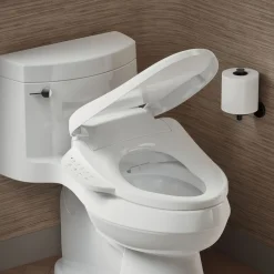Elongated bidet toilet seat