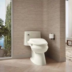 Elongated bidet toilet seat