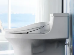 Elongated bidet toilet seat