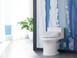 Elongated bidet toilet seat