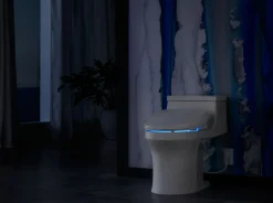 Elongated bidet toilet seat