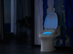 Elongated bidet toilet seat