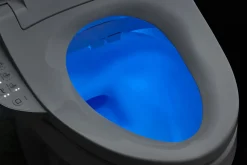 Elongated bidet toilet seat