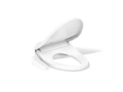 Elongated bidet toilet seat