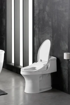 Elongated bidet toilet seat