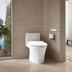 Elongated bidet toilet seat with remote control