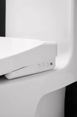 Elongated bidet toilet seat with remote control