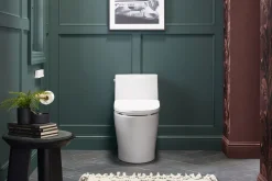 Elongated bidet toilet seat with remote control