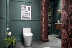 Elongated bidet toilet seat with remote control