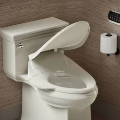 Elongated bidet toilet seat with remote control
