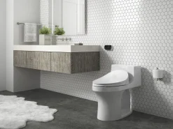 Elongated bidet toilet seat with remote control