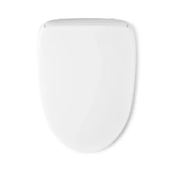 Elongated bidet toilet seat with remote control