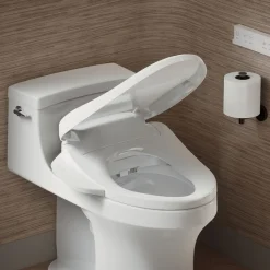 Elongated bidet toilet seat with remote control