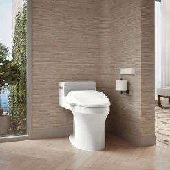 Elongated bidet toilet seat with remote control