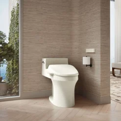 Elongated bidet toilet seat with remote control