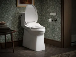 Elongated bidet toilet seat with remote control