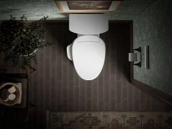 Elongated bidet toilet seat with remote control