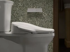 Elongated bidet toilet seat with remote control