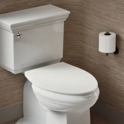 Elongated toilet seat