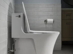Elongated toilet seat