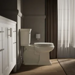 Elongated toilet seat