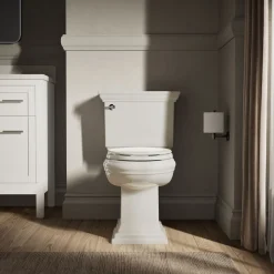 Elongated toilet seat