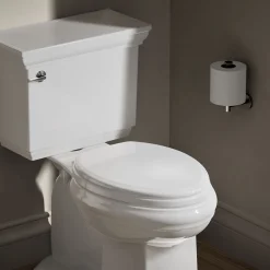Elongated toilet seat