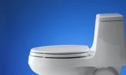 Elongated toilet seat