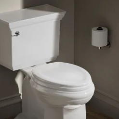 Elongated toilet seat
