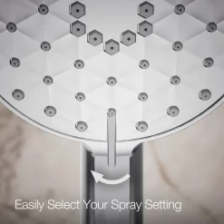 Four-function handshower, 1.75 gpm