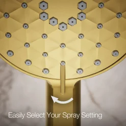 Four-function handshower, 1.75 gpm